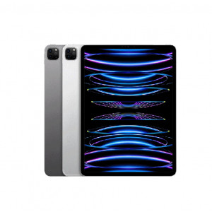 iPad Pro (2022, 11")