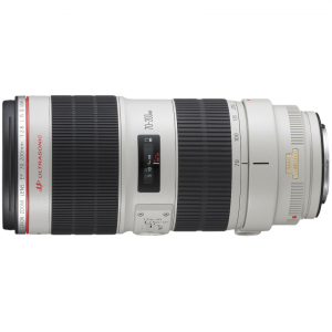Canon EF 70-200mm f/2.8 L IS II USM 2